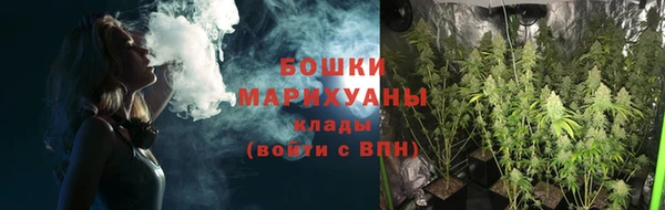 таблы Осинники
