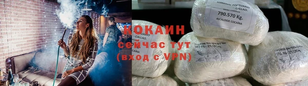 тгк Няндома