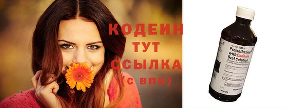 тгк Няндома