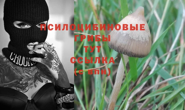 MESCALINE Нягань