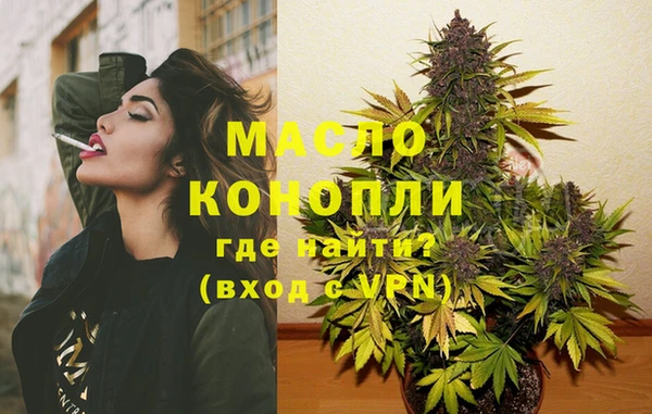 тгк Няндома
